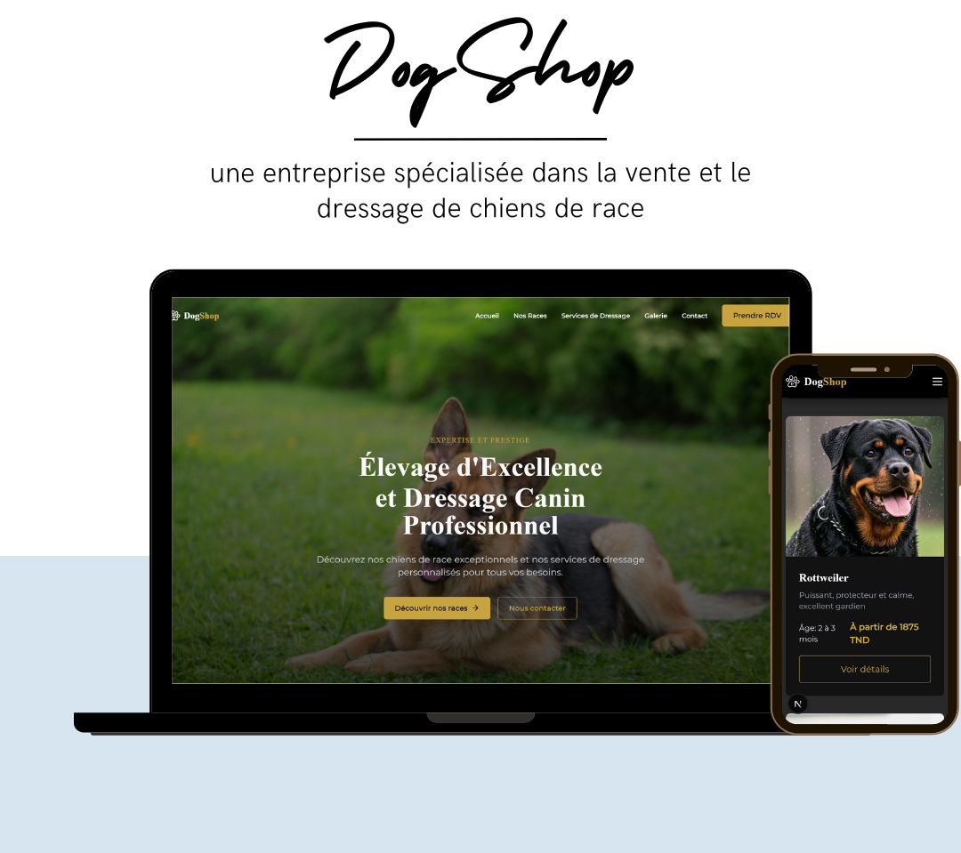 Projet 3